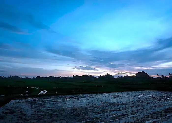Uma Ubud 2* Pagetan