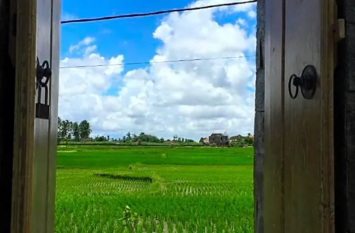 Uma Ubud Guest house
